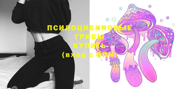 индика Краснотурьинск
