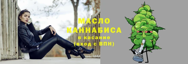 индика Краснотурьинск
