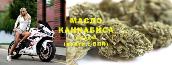 индика Краснотурьинск