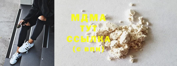 индика Краснотурьинск